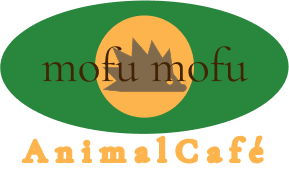 mofu mofu Animal Cafe